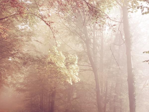 Bild Alttagl News 21.06.2016 Deutsch